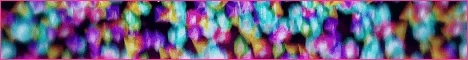 BunnyMC banner